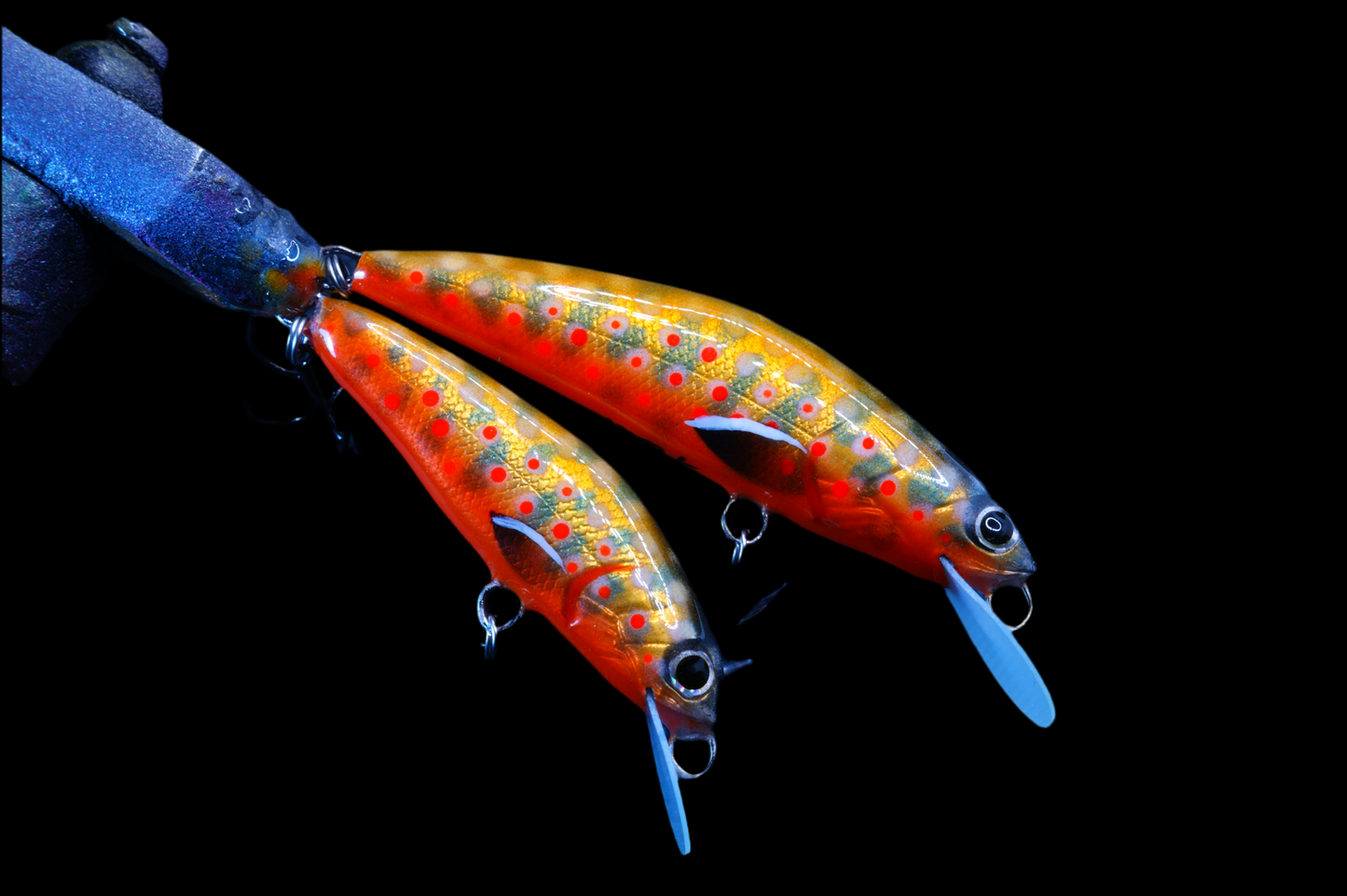 Spawning Brook trout
