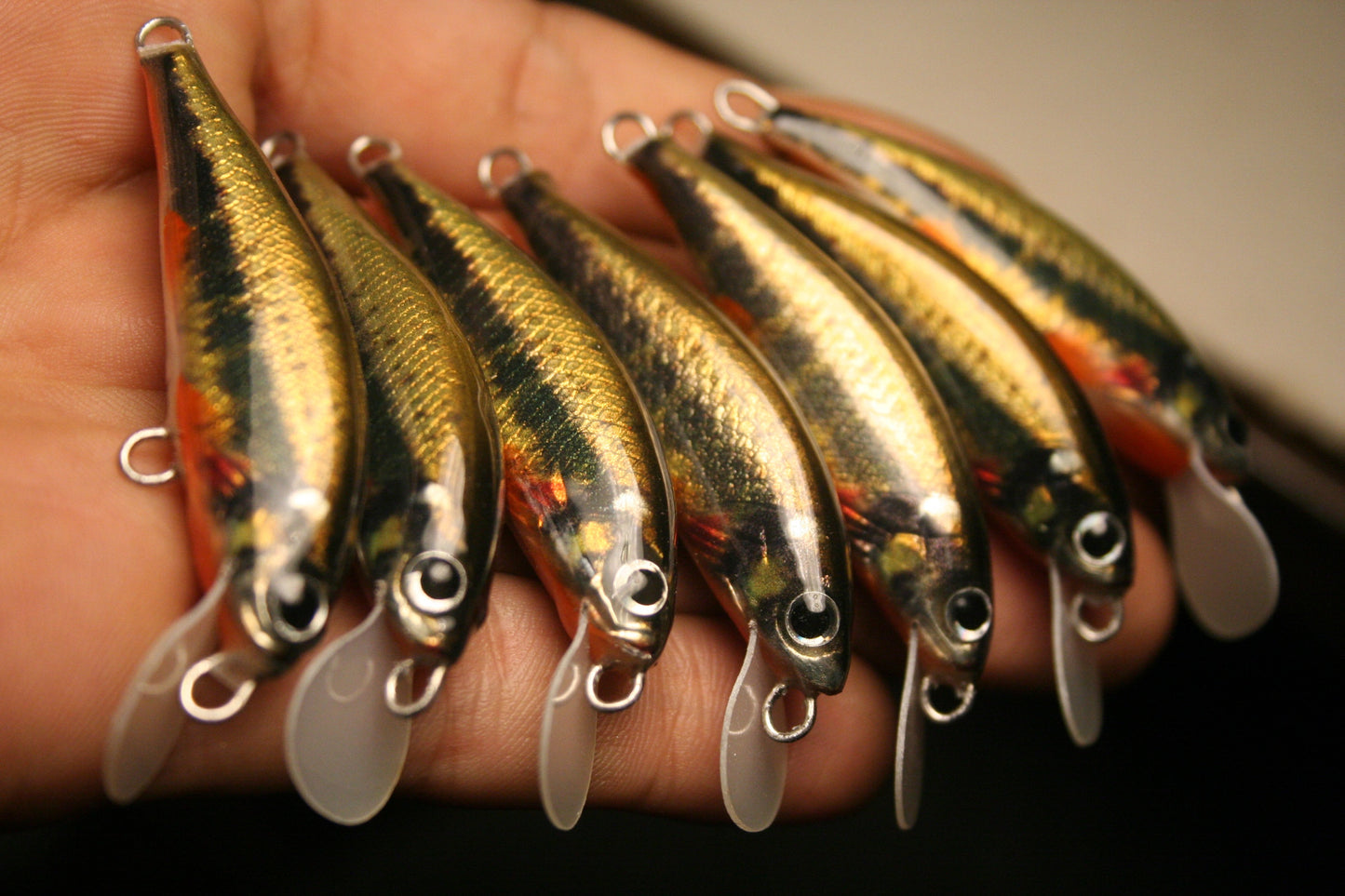 Vairon minnow