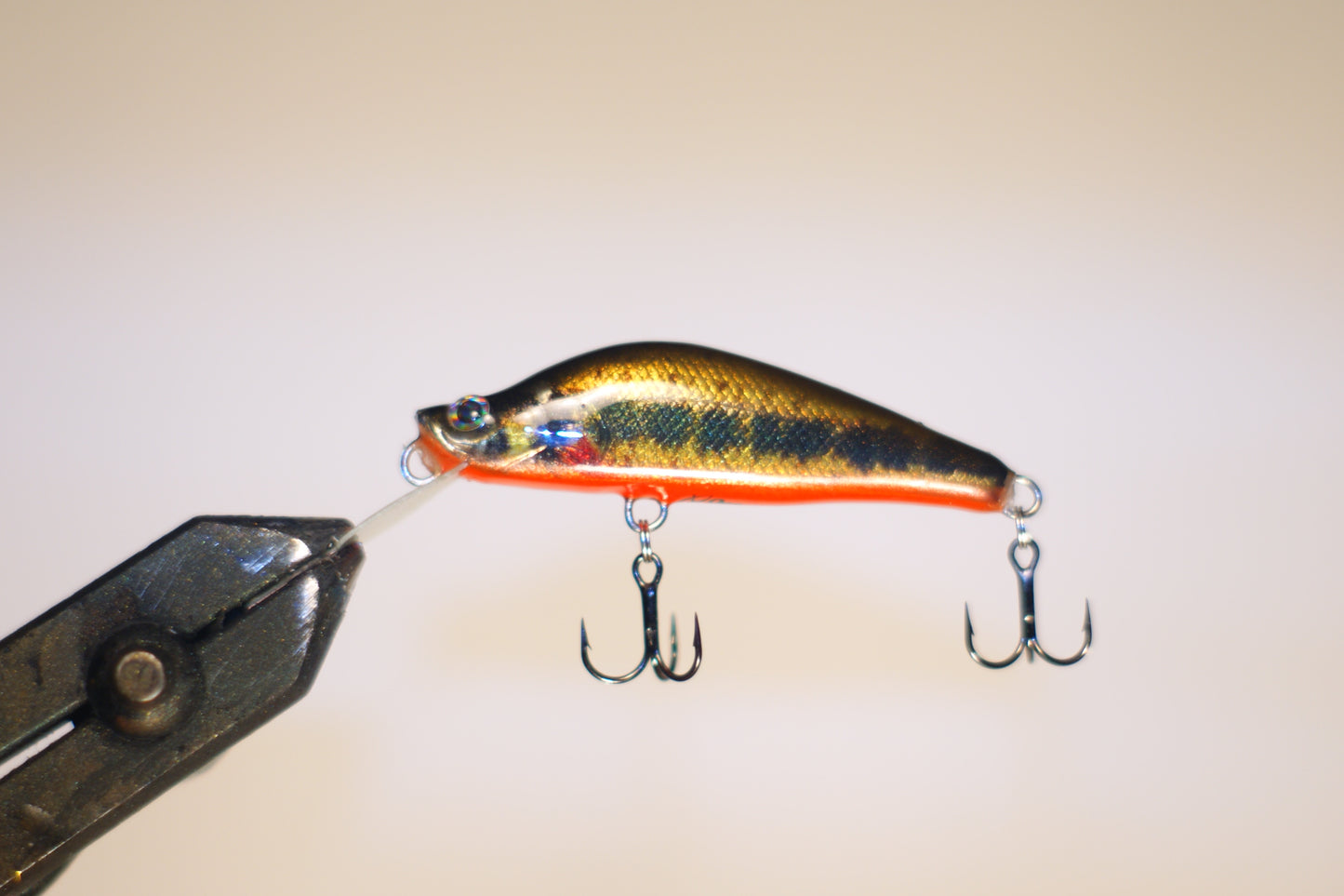 Vairon minnow