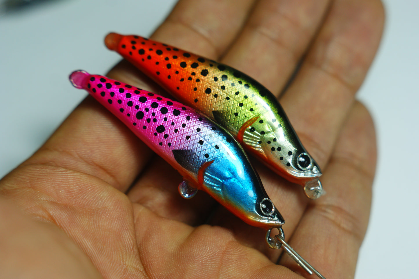 Red tail trout