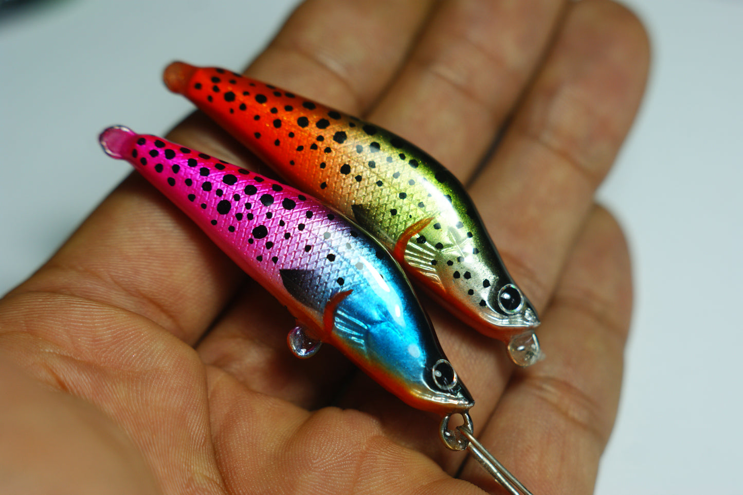 Pink tail trout