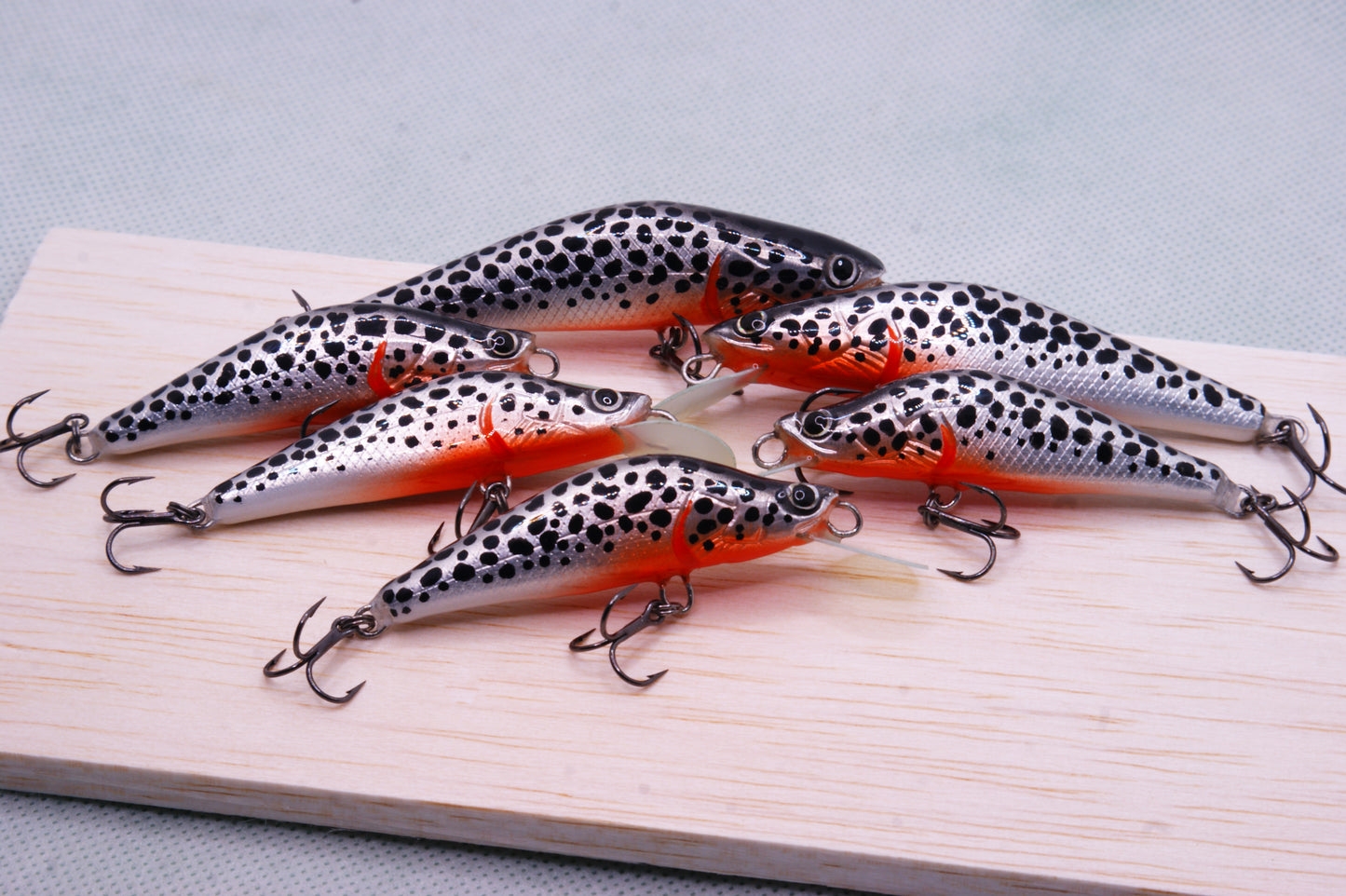Silver Lake trout