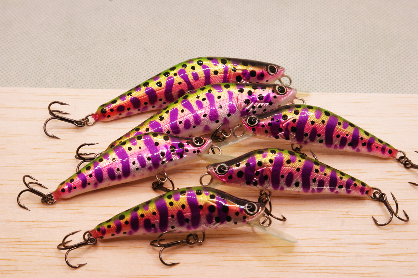 Juvenile purple rainbow