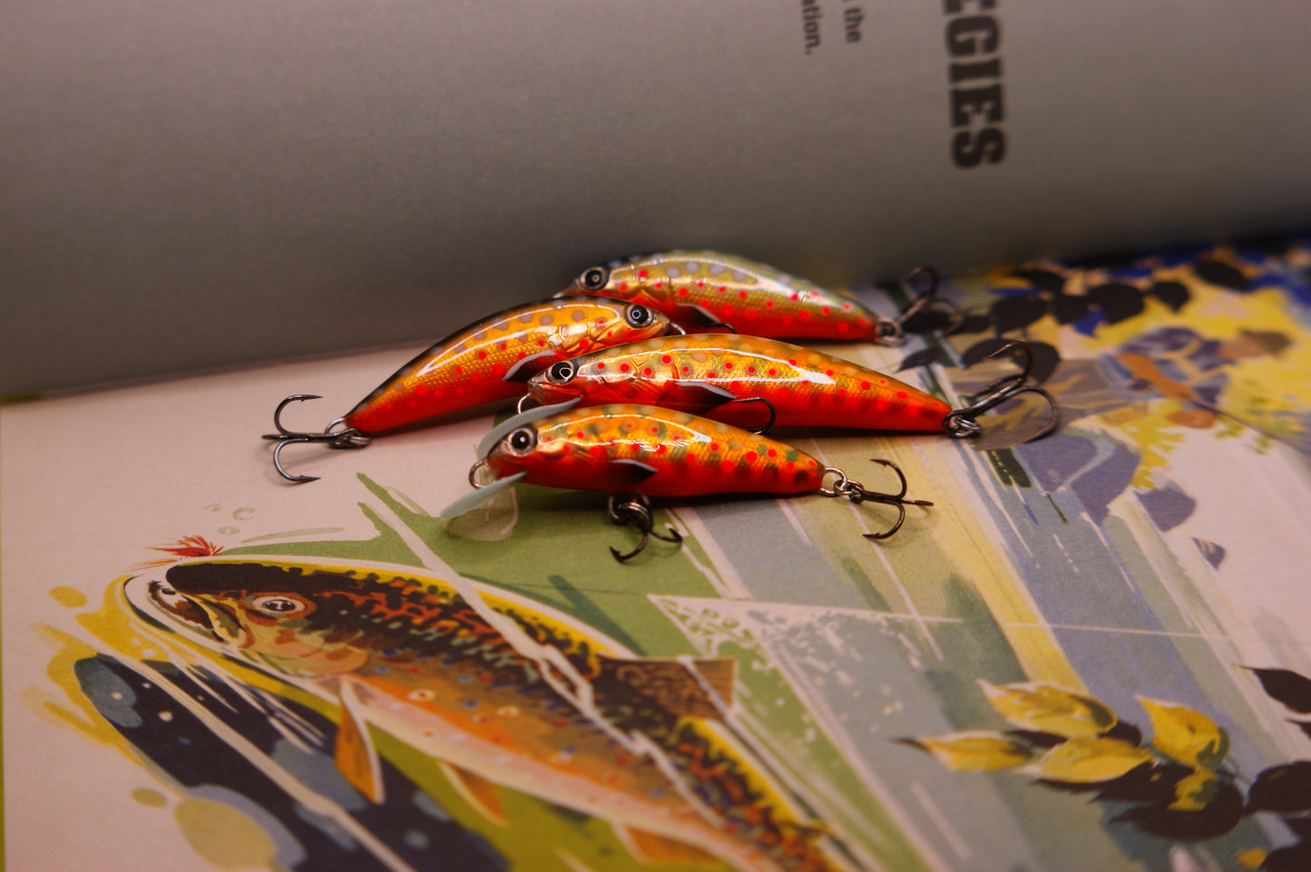 Spawning Brook trout