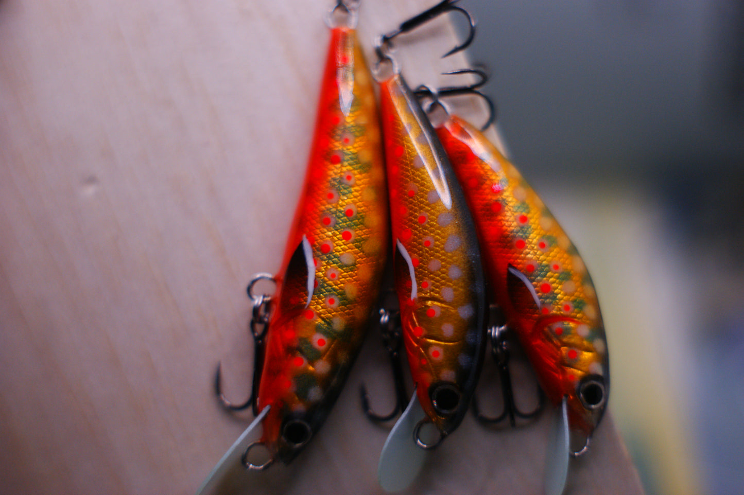 Spawning Brook trout
