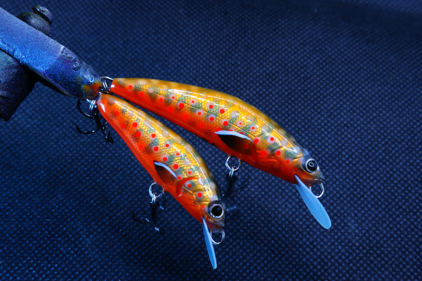 Spawning Brook trout