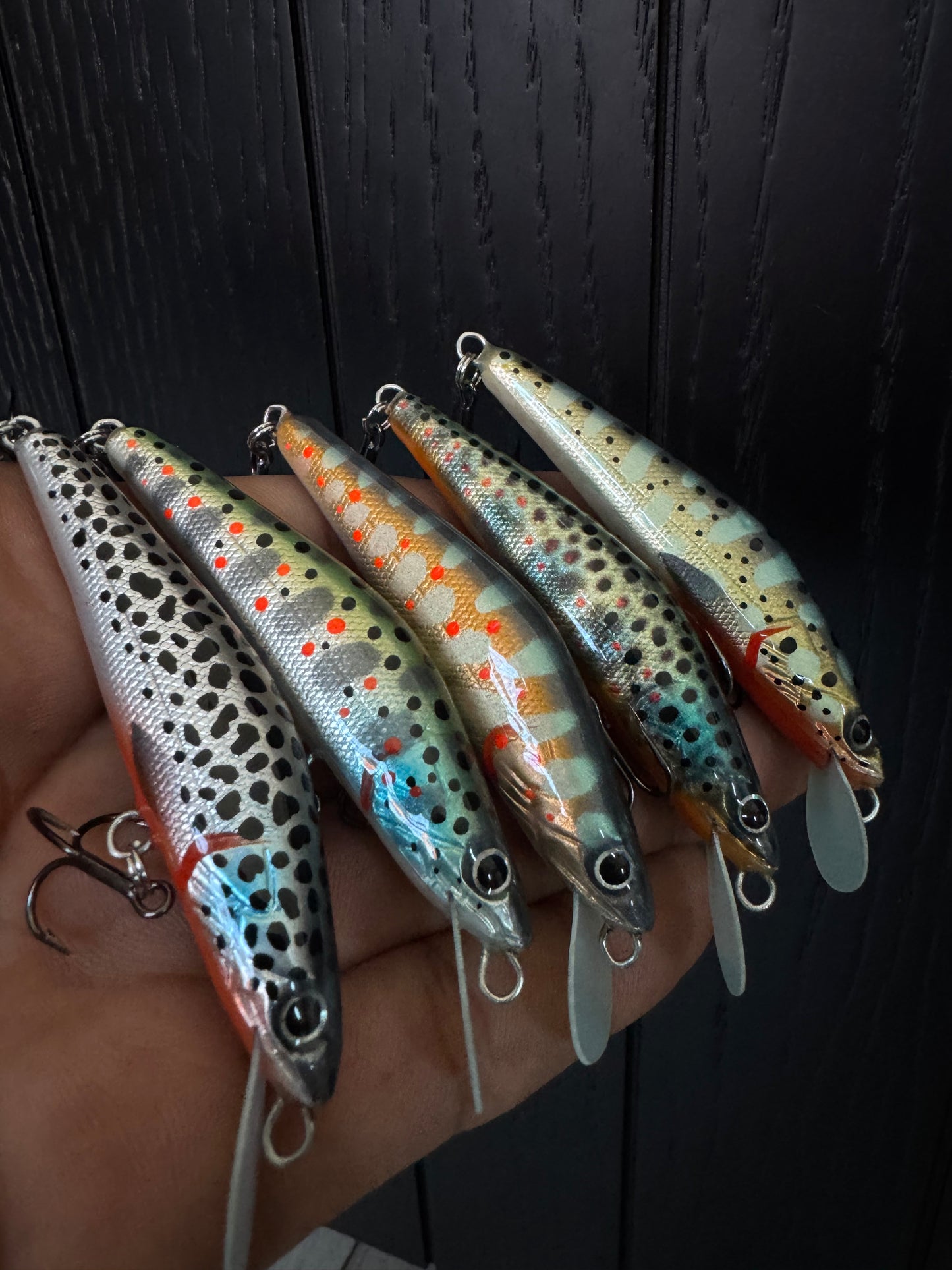 5 Minnow set
