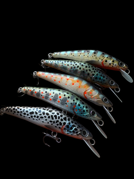 5 Minnow set