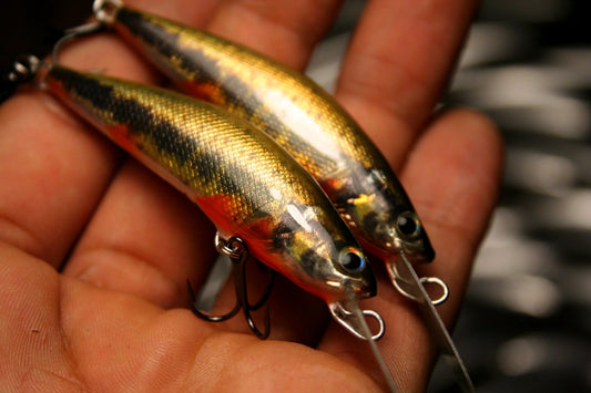 Vairon minnow