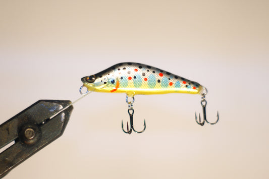 Golden trout