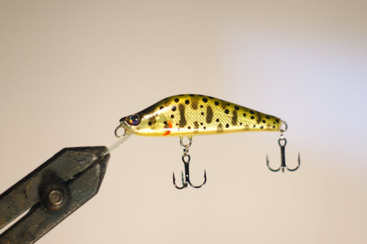 Gold trout