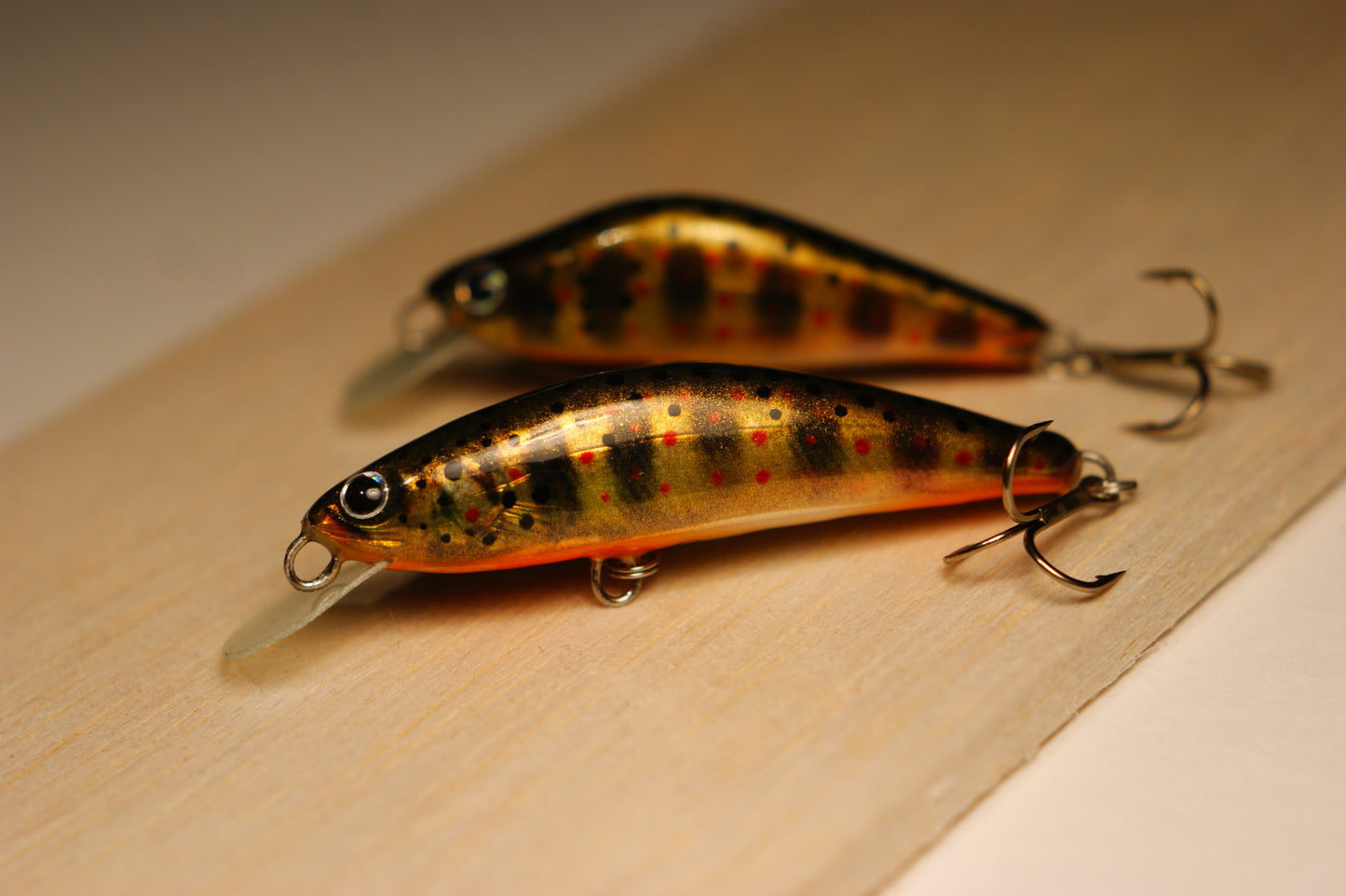 Golden brown trout