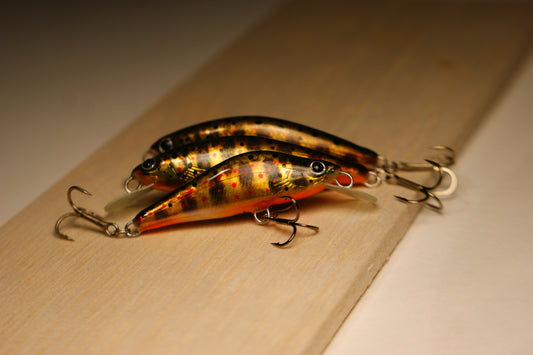 Golden brown trout
