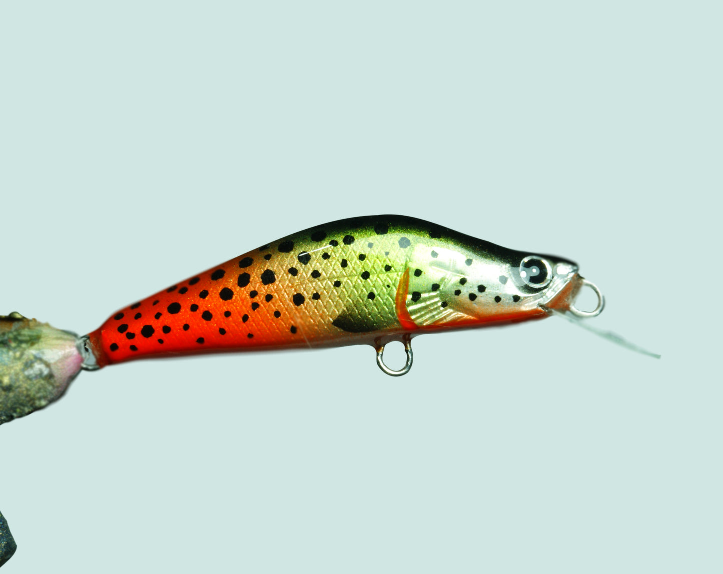 Red tail trout – PAN Handmade LURES