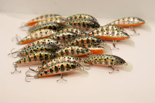 Salmo trutta