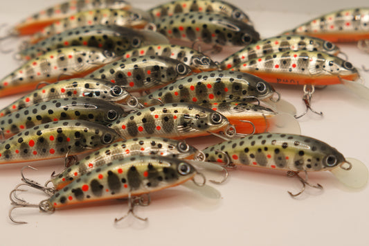 Salmo trutta