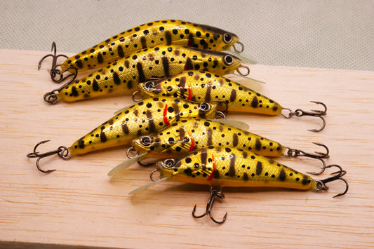 Gold trout