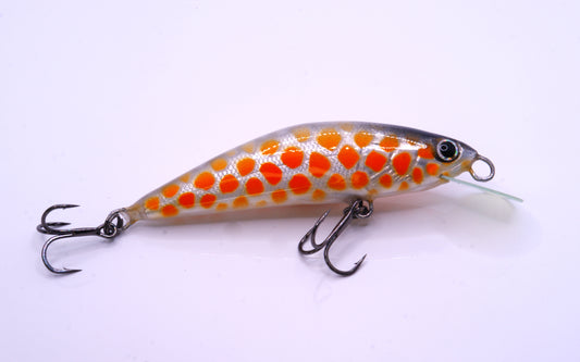 Puccini Trout